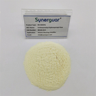 Senior Guar Gum Has High Viscosity And Medium Degree Of Substitution For Anionic Rheology Modifier