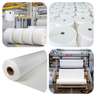 Papermaking Additives With Cost-Effective Has High Viscosity And Low Degree Of Substitution For Paper-Making Additive