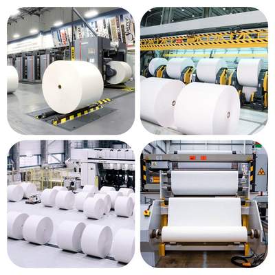 Guar Gum With High Cost Performance Has High Viscosity And Low Degree Of Substitution For Paper-Making