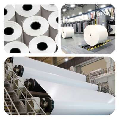 Natural Polymer Of CAS NO. 65497-29-2 Has Medium Degree Of Substitution For Dry Strength Agent In Papermaking